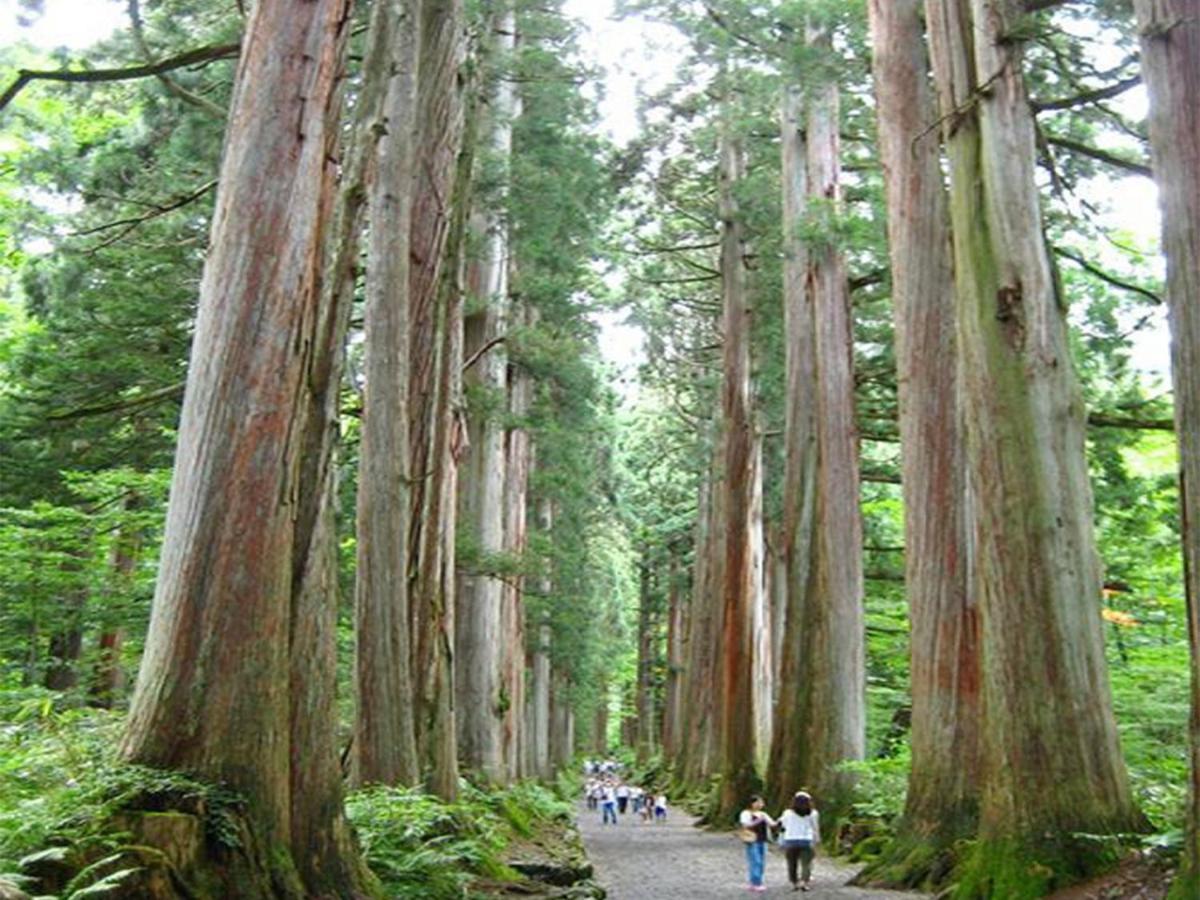 Отель Arcadia Нагано Экстерьер фото